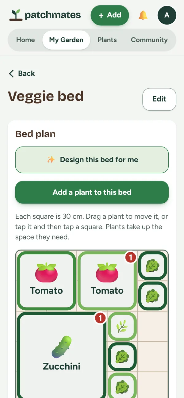 A raised bed plan with tomatoes, zucchini and lettuce placed in a grid